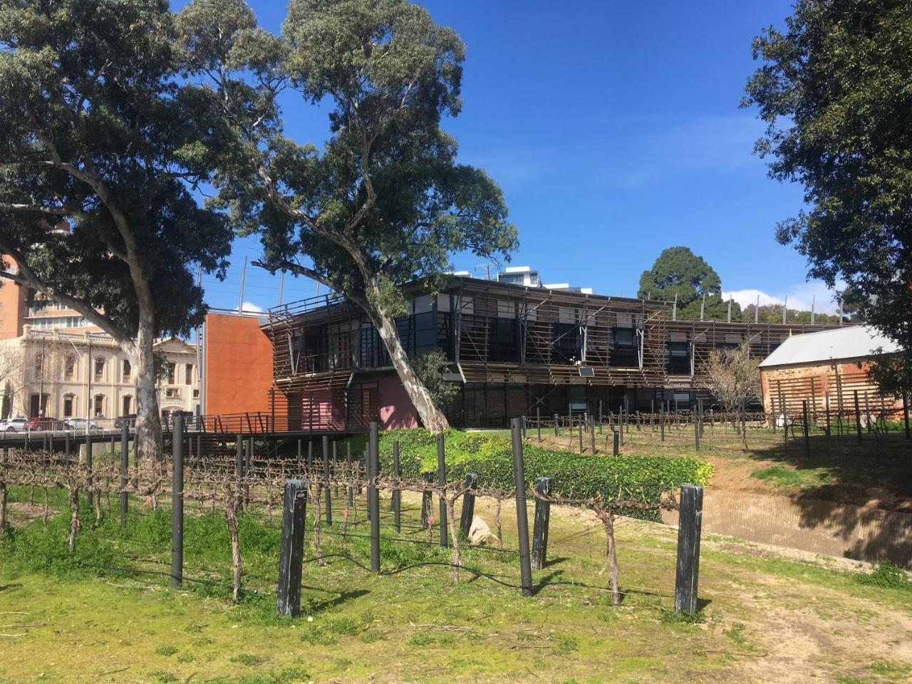 Adelaide Style Accommodation-Close To City-North Adelaide-3 Bdrm- Free Parking מראה חיצוני תמונה